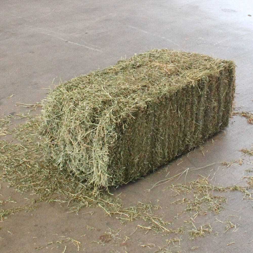 alfalfa hay bales