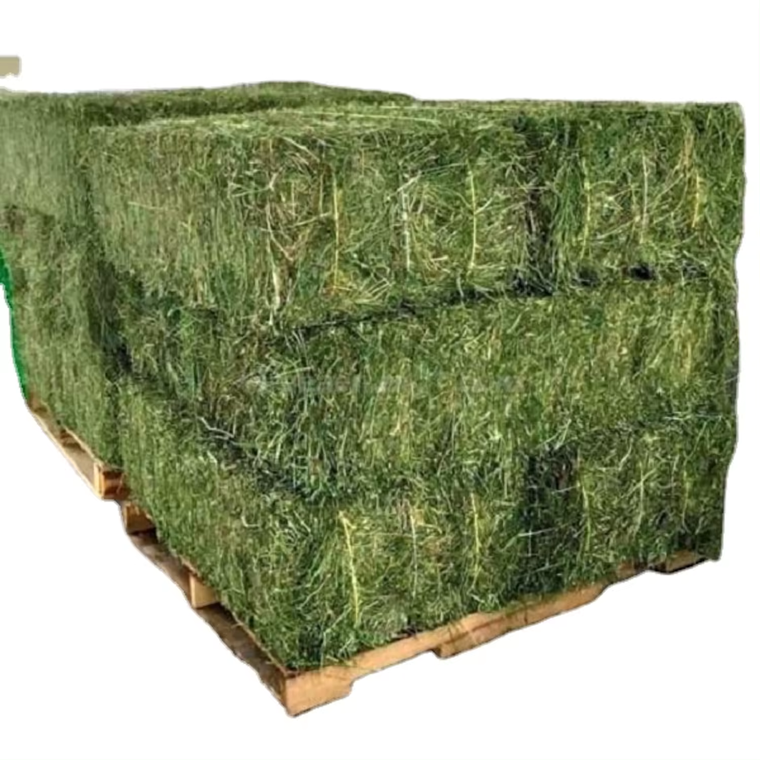 alfalfa hay bales