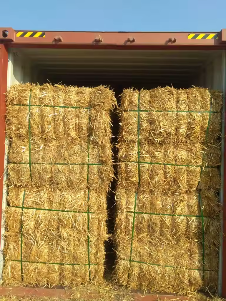 wheat straw